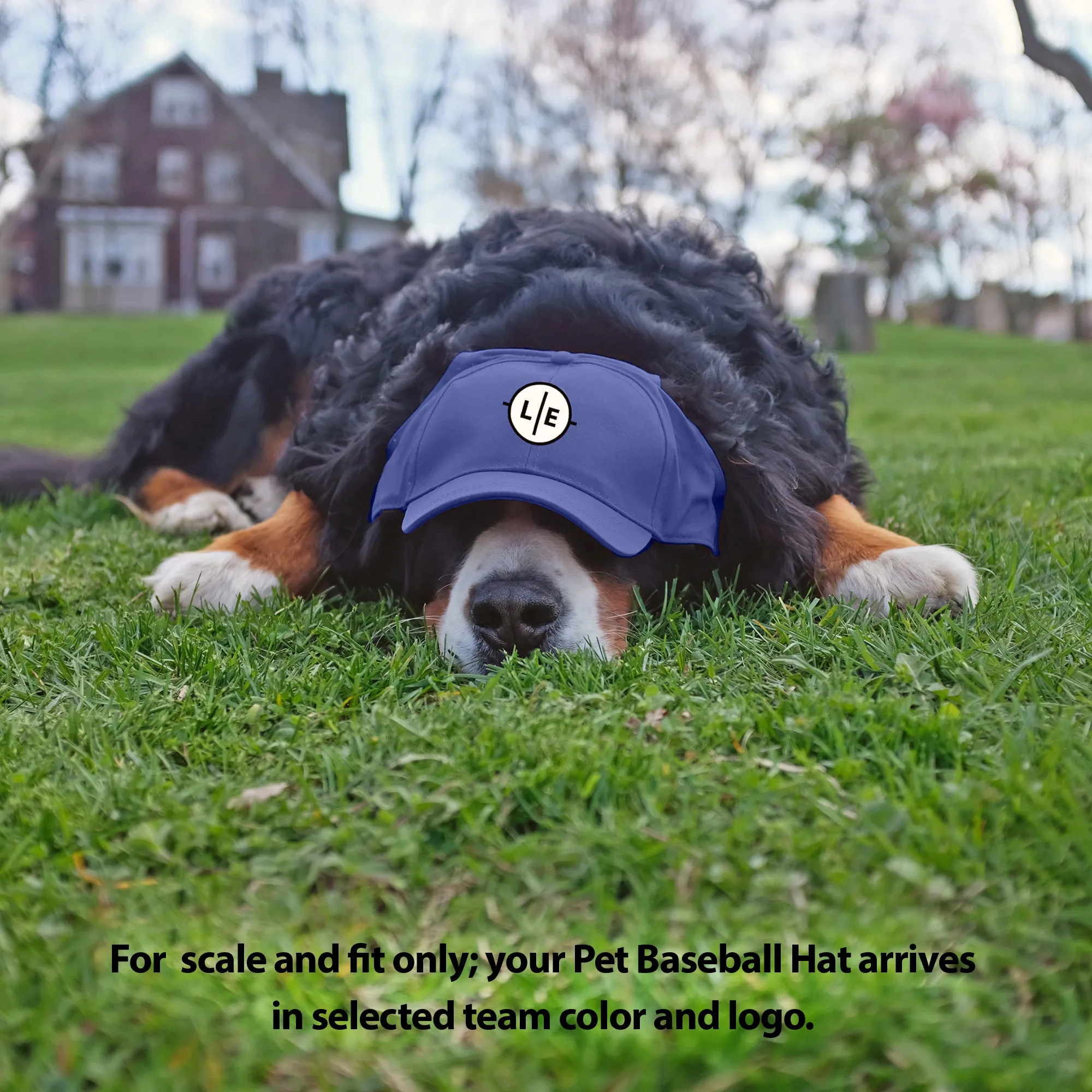 Columbus Blue Jackets Pet Baseball Hat
