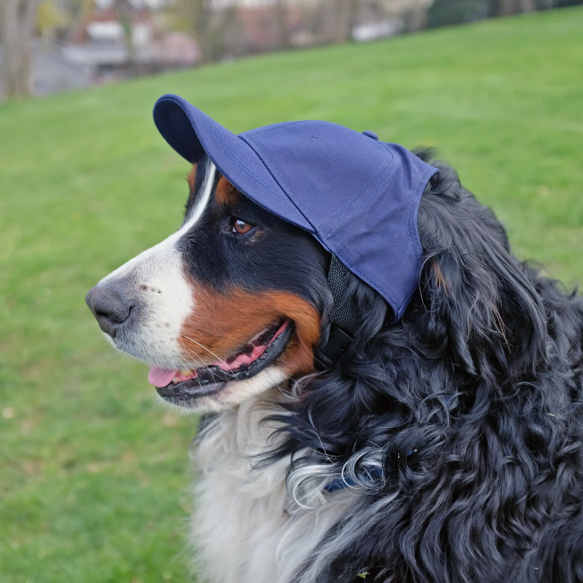 Columbus Blue Jackets Pet Baseball Hat